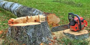 Best Emergency Tree Removal  in Shorewood, WI