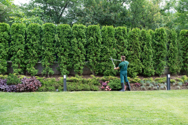Best Lawn Watering Services  in Shorewood, WI