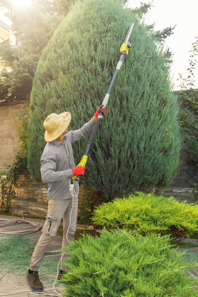 Best Commercial Tree Services  in Shorewood, WI